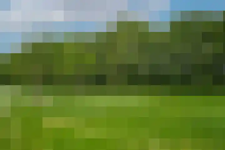 Hoefweg 18 Andel thumbnail 40