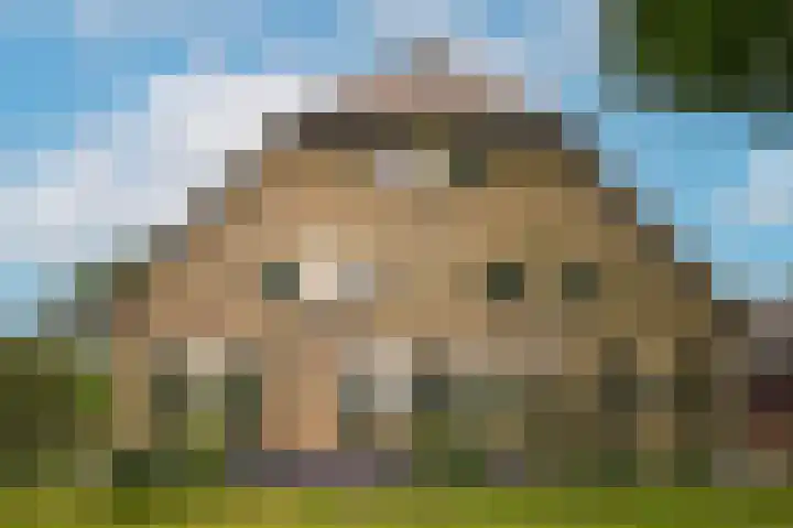 Hoefweg 18 Andel thumbnail 8