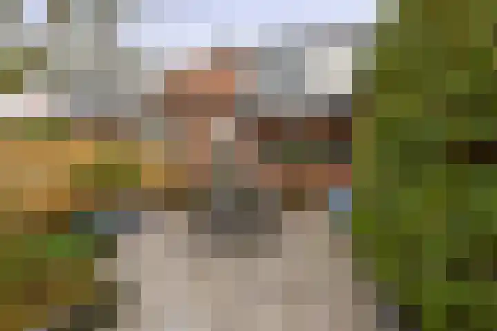 Hoefweg 197 Bleiswijk thumbnail 20