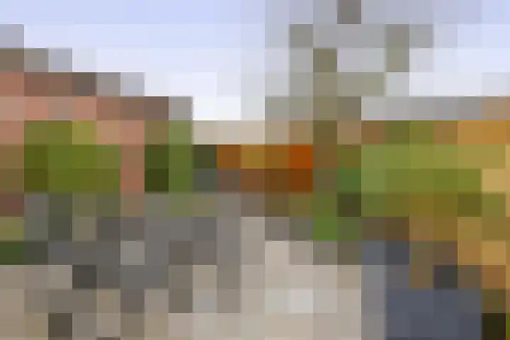 Hoefweg 197 Bleiswijk thumbnail 22