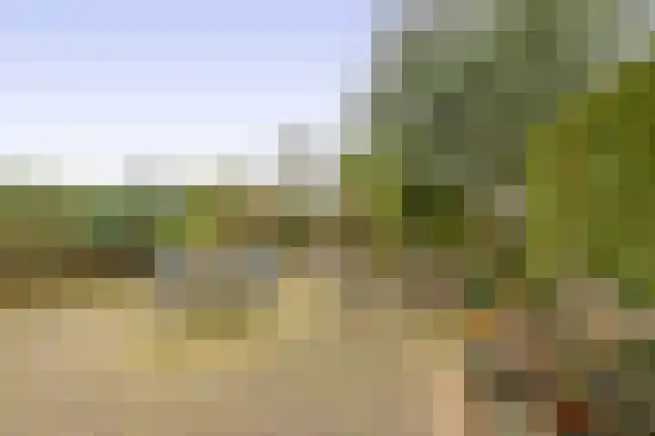 Hoefweg 197 Bleiswijk thumbnail 24