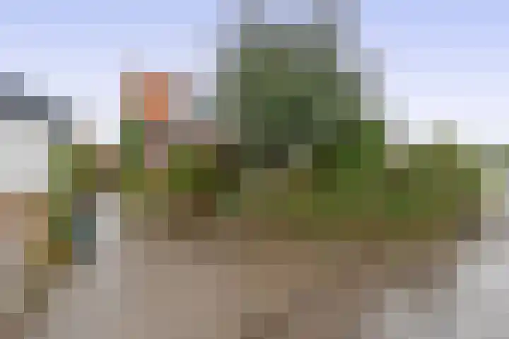 Hoefweg 197 Bleiswijk thumbnail 26