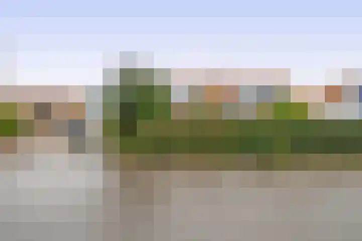 Hoefweg 197 Bleiswijk thumbnail 27
