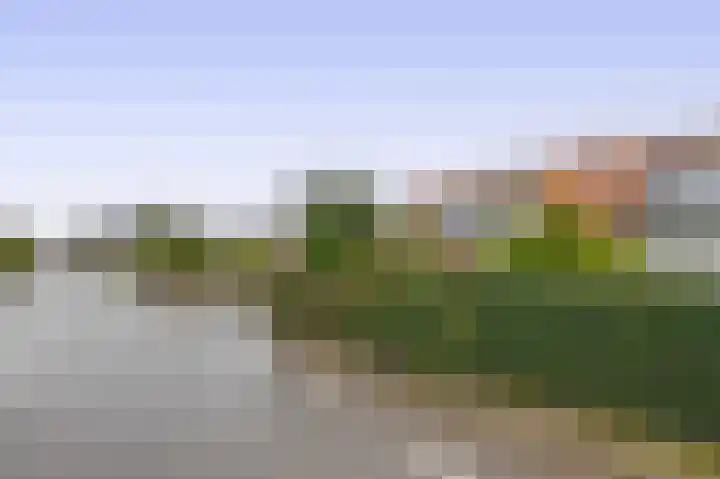 Hoefweg 197 Bleiswijk thumbnail 28