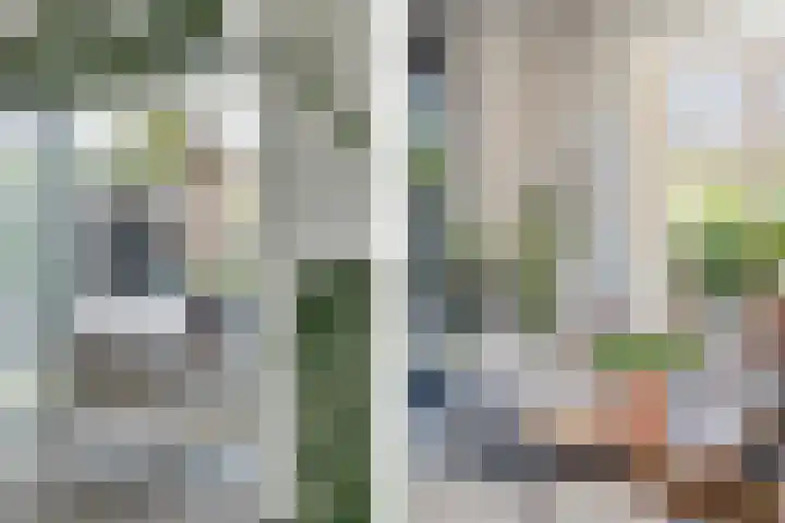 Hoefweg 20 Bleiswijk thumbnail 25