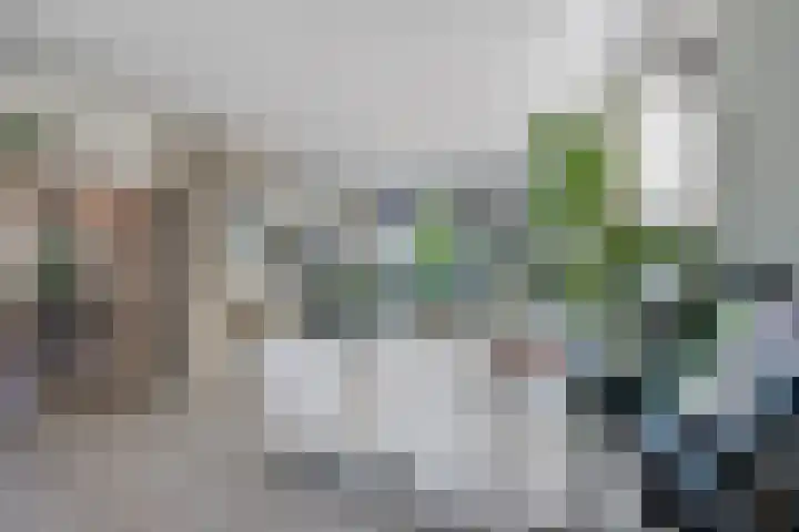 Hoefweg 20 Bleiswijk thumbnail 26