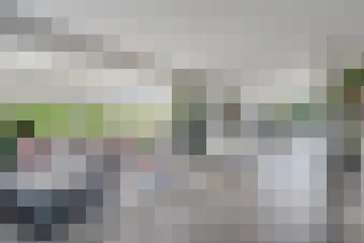 Hoefweg 20 Bleiswijk thumbnail 27