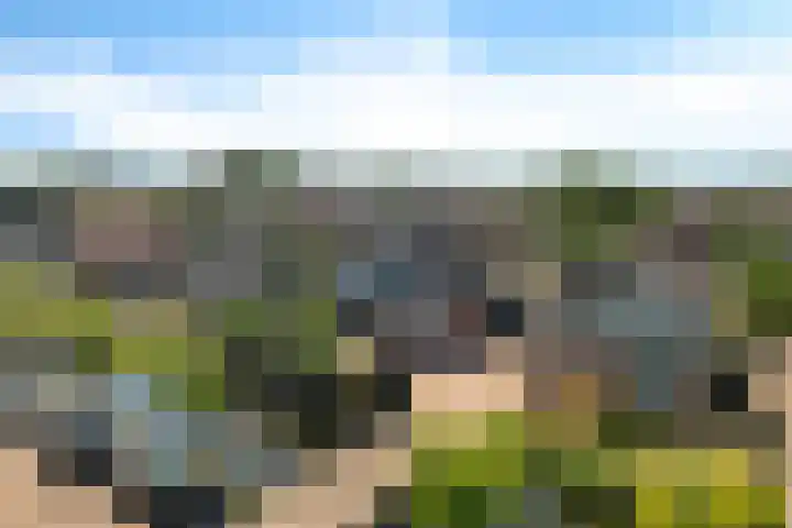 Hoefweg 20 Bleiswijk thumbnail 4