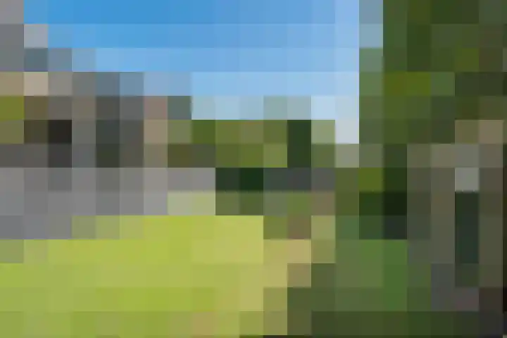 Hoefweg 20 Bleiswijk thumbnail 49