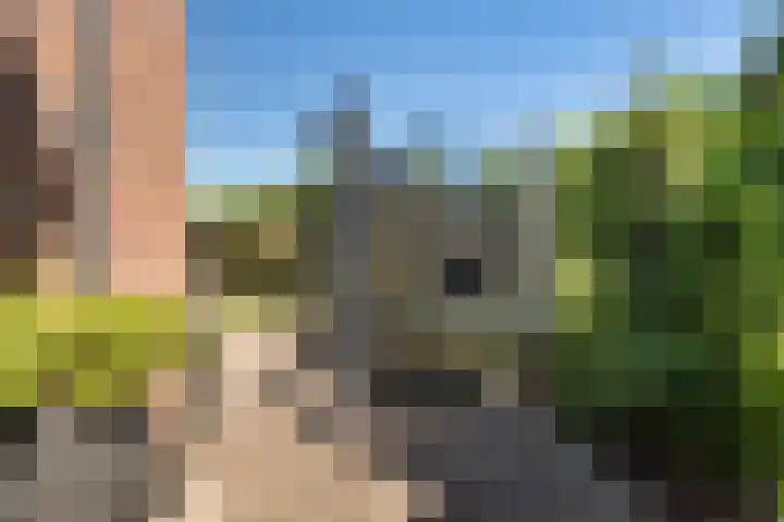 Hoefweg 20 Bleiswijk thumbnail 54