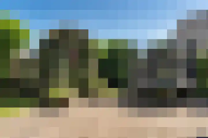 Hoefweg 20 Bleiswijk thumbnail 56
