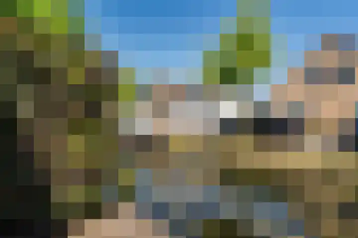 Hoefweg 20 Bleiswijk thumbnail 60