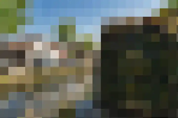 Hoefweg 20 Bleiswijk thumbnail 61