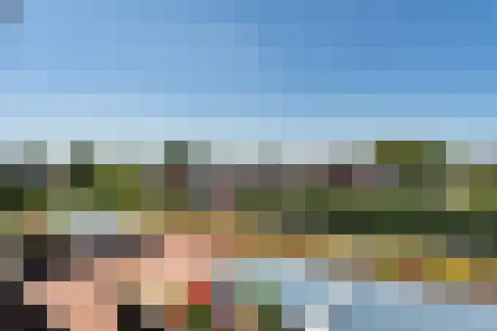 Hoefweg 20 Bleiswijk thumbnail 71