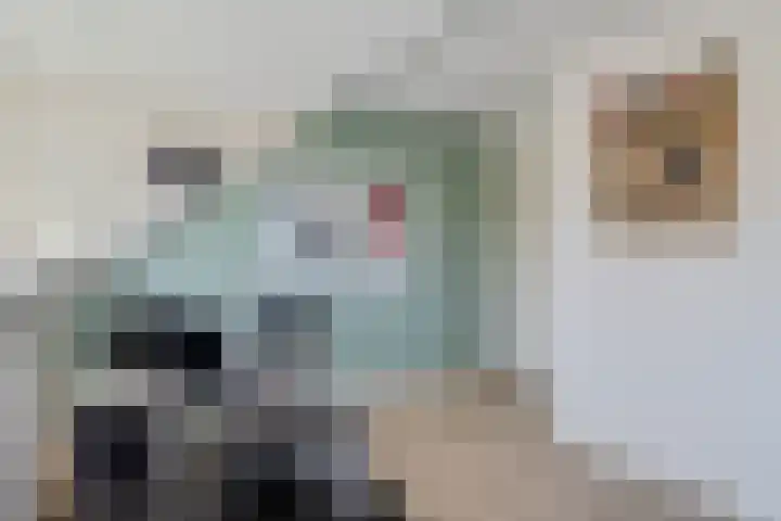 Hoefweg 20 Bleiswijk thumbnail 79