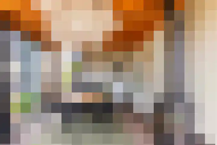 Hoefweg 24 Apeldoorn thumbnail 16