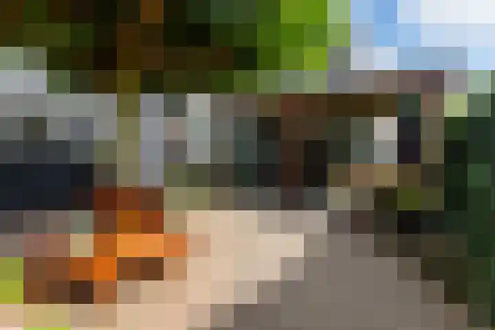 Hoefweg 24 Apeldoorn thumbnail 21