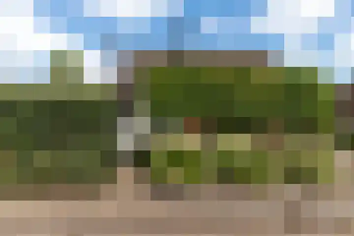 Hoefweg 24 Apeldoorn thumbnail 36