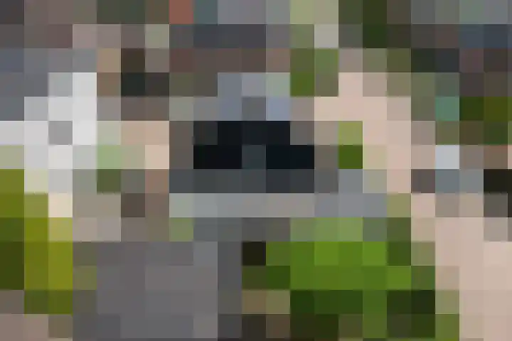 Hoefweg 24 Apeldoorn thumbnail 39