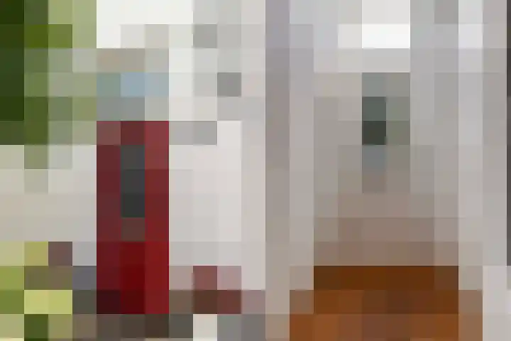 Hoefweg 24 Apeldoorn thumbnail 5