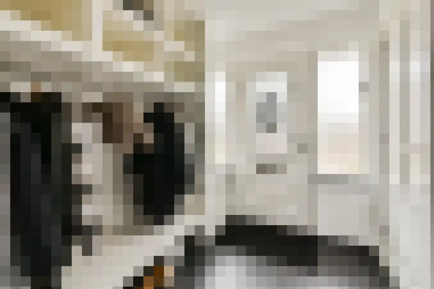 Hoefweg 3 Bleiswijk thumbnail 14