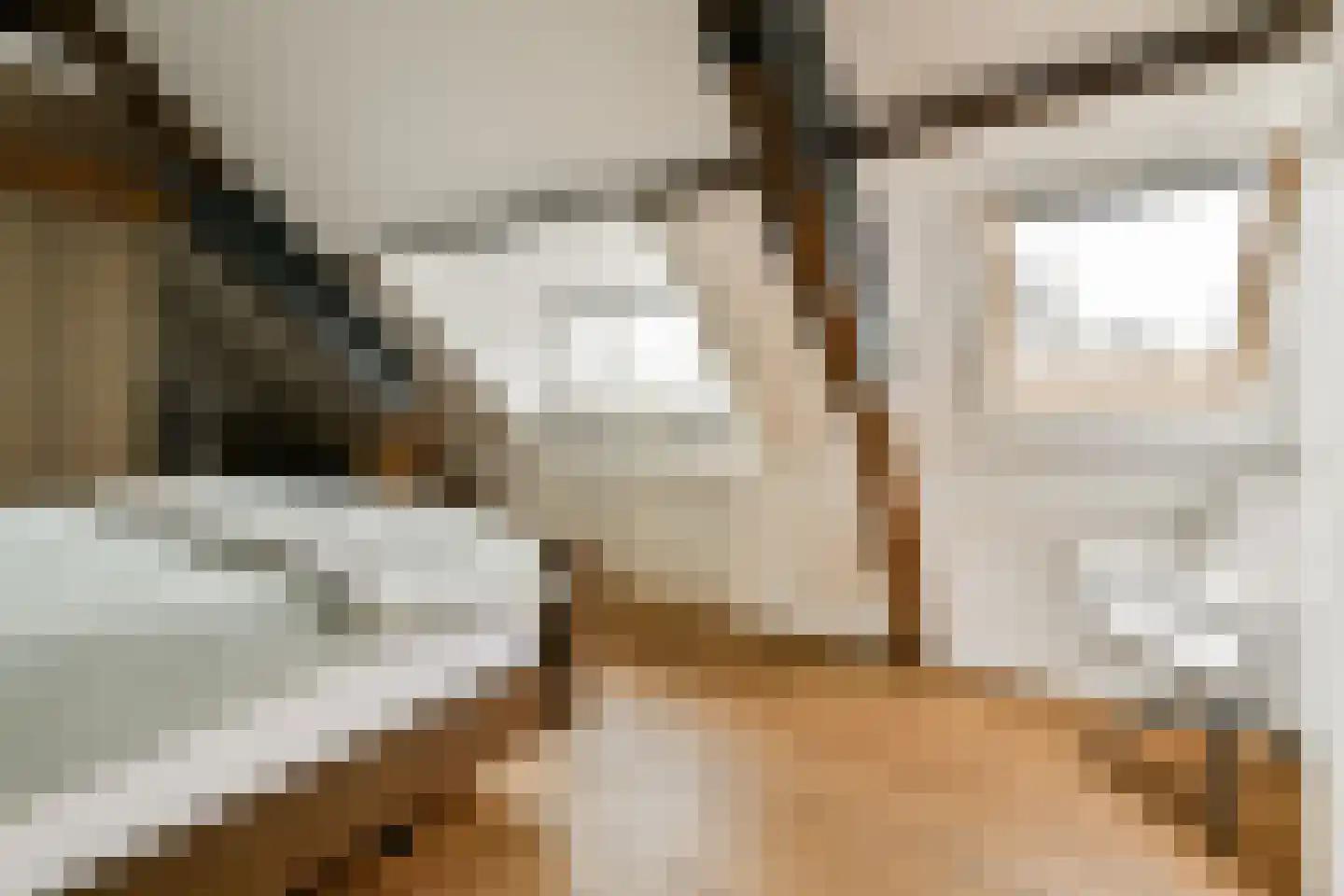 Hoefweg 3 Bleiswijk thumbnail 17