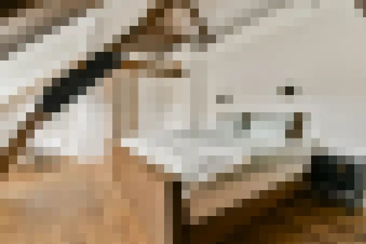 Hoefweg 3 Bleiswijk thumbnail 19