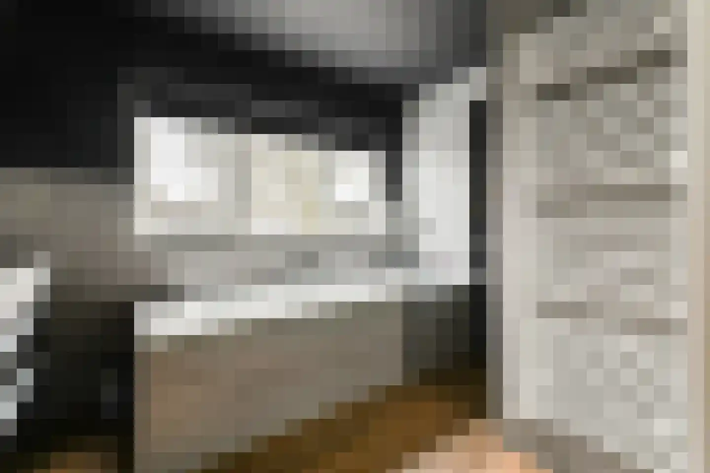 Hoefweg 3 Bleiswijk thumbnail 20