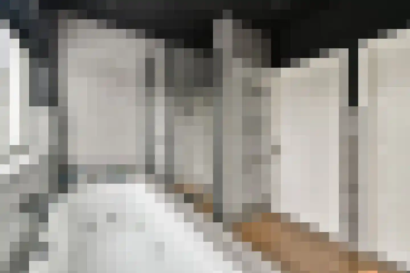 Hoefweg 3 Bleiswijk thumbnail 22