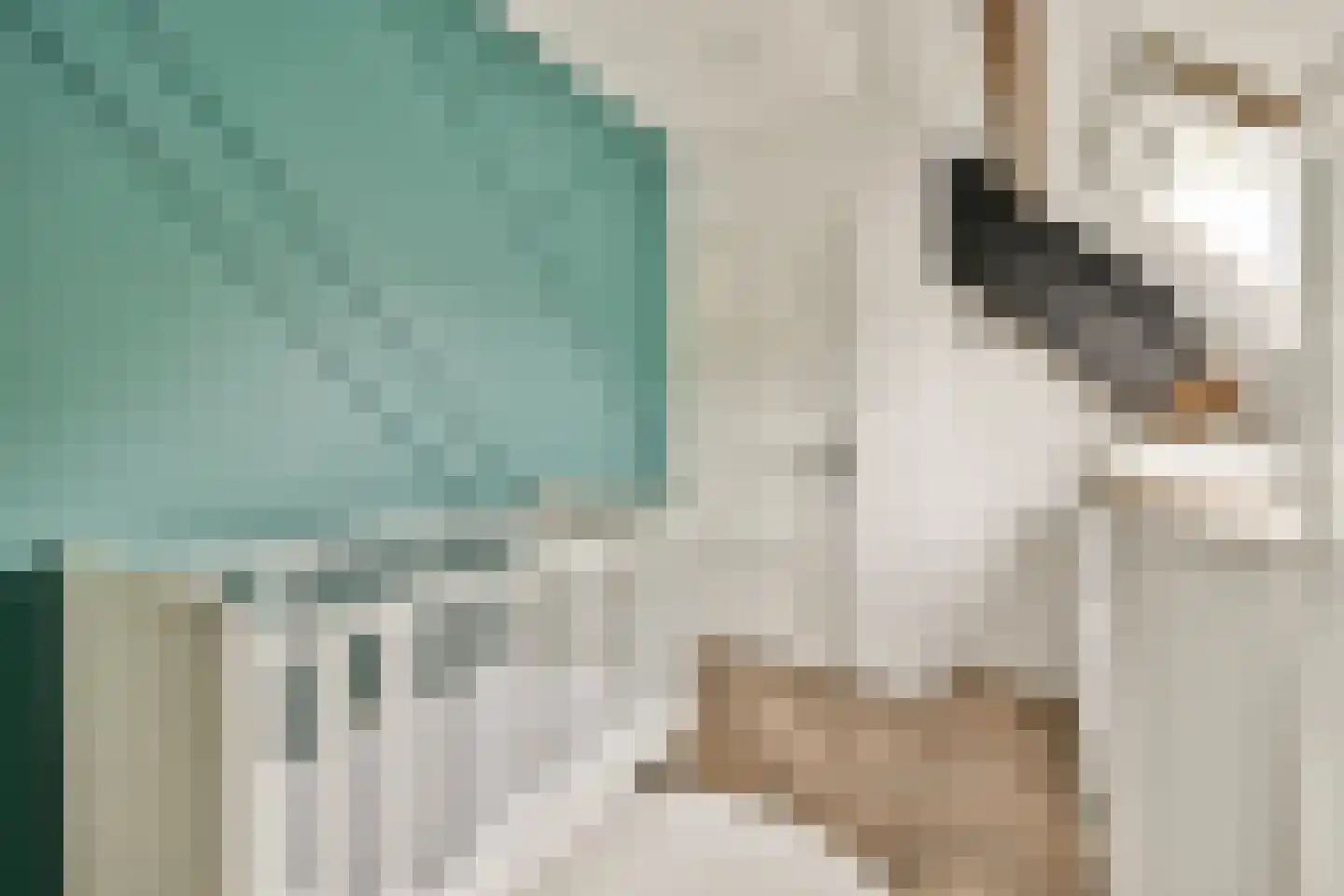 Hoefweg 3 Bleiswijk thumbnail 24