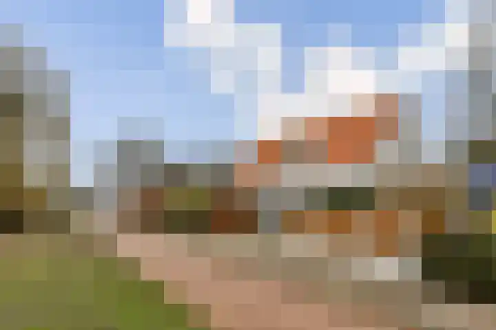 Hoefweg 3 Bleiswijk thumbnail 4