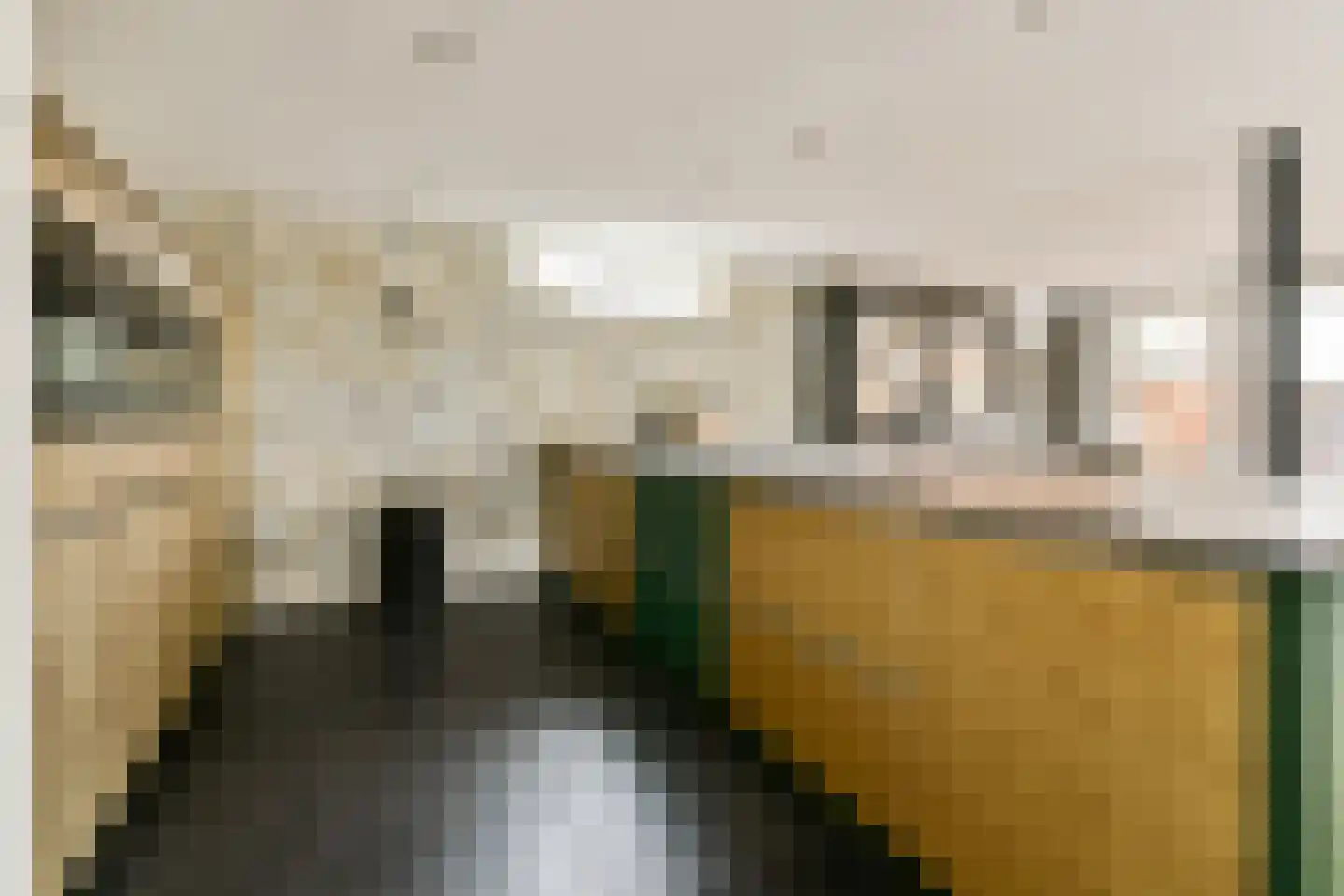 Hoefweg 3 Bleiswijk thumbnail 5