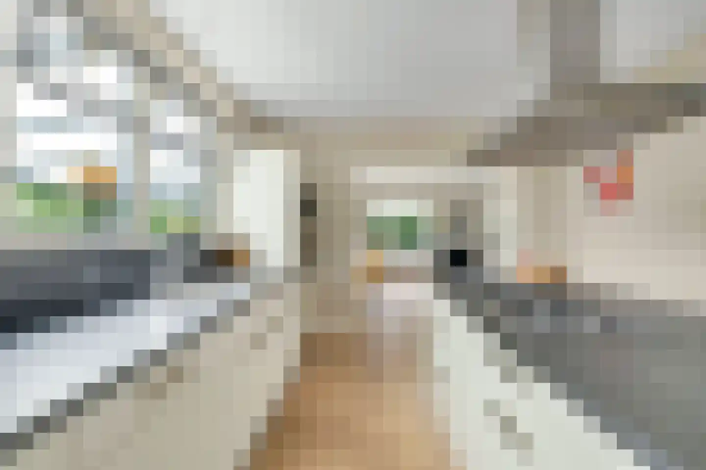 Hoefweg 6 Oostvoorne thumbnail 12