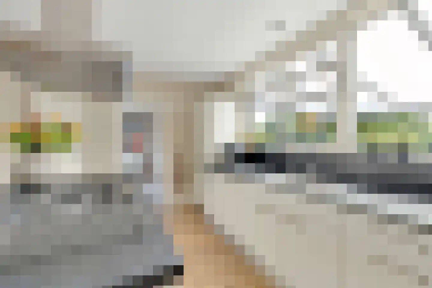 Hoefweg 6 Oostvoorne thumbnail 20