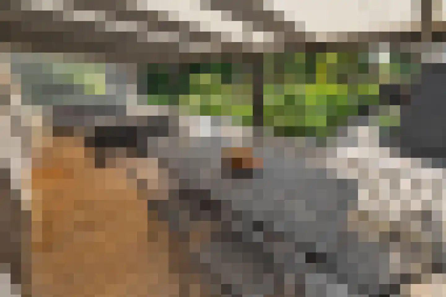 Hoefweg 6 Oostvoorne thumbnail 50
