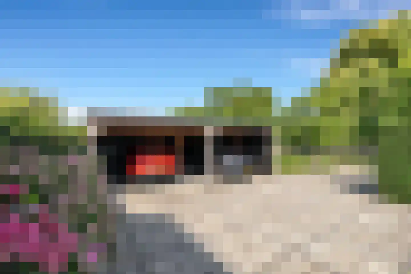 Hoefweg 6 Oostvoorne thumbnail 6