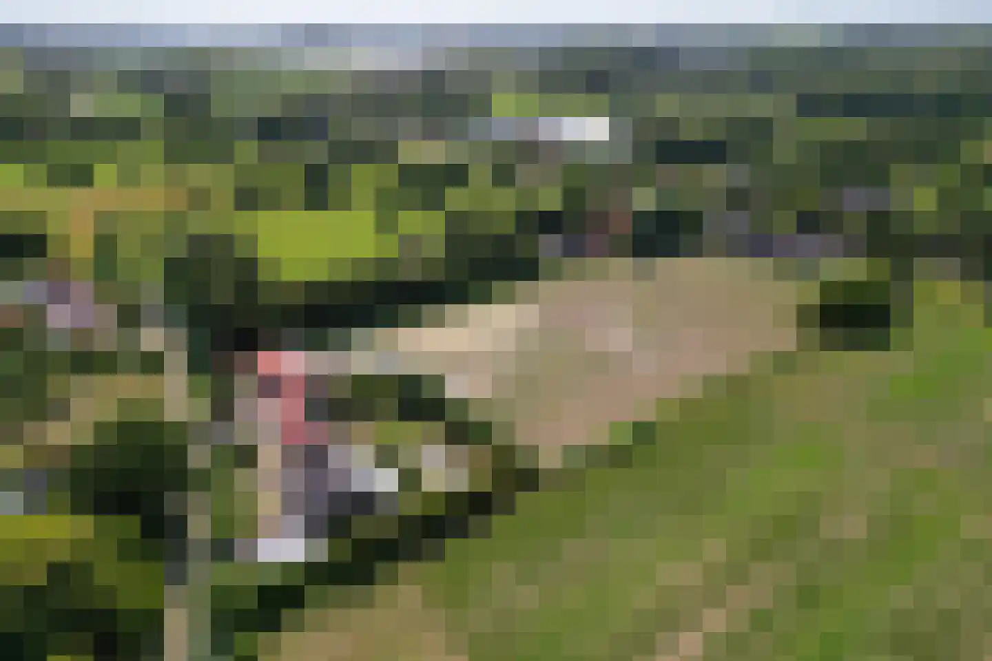 Hoefweg 6 Oostvoorne thumbnail 66