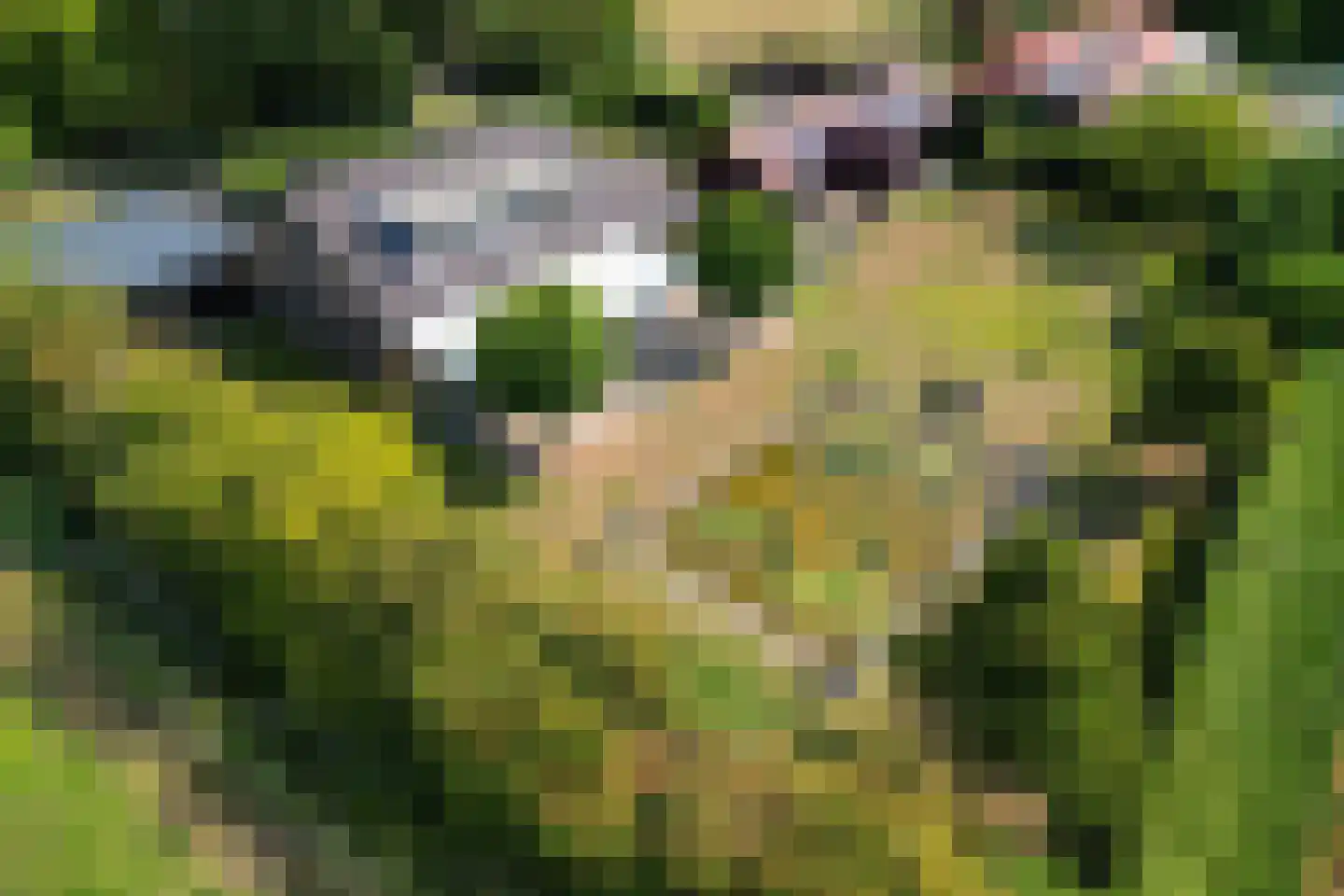 Hoefweg 6 Oostvoorne thumbnail 68