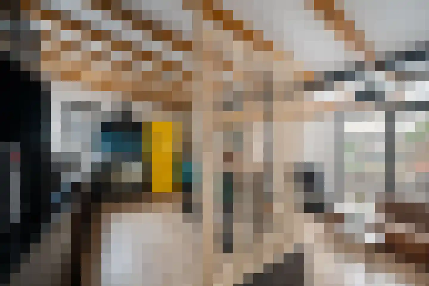 Hoefweg 60 Bleiswijk thumbnail 15
