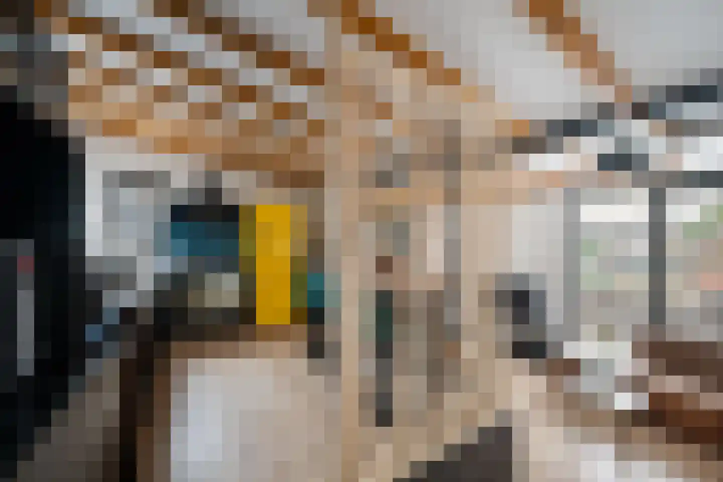 Hoefweg 60 Bleiswijk thumbnail 15