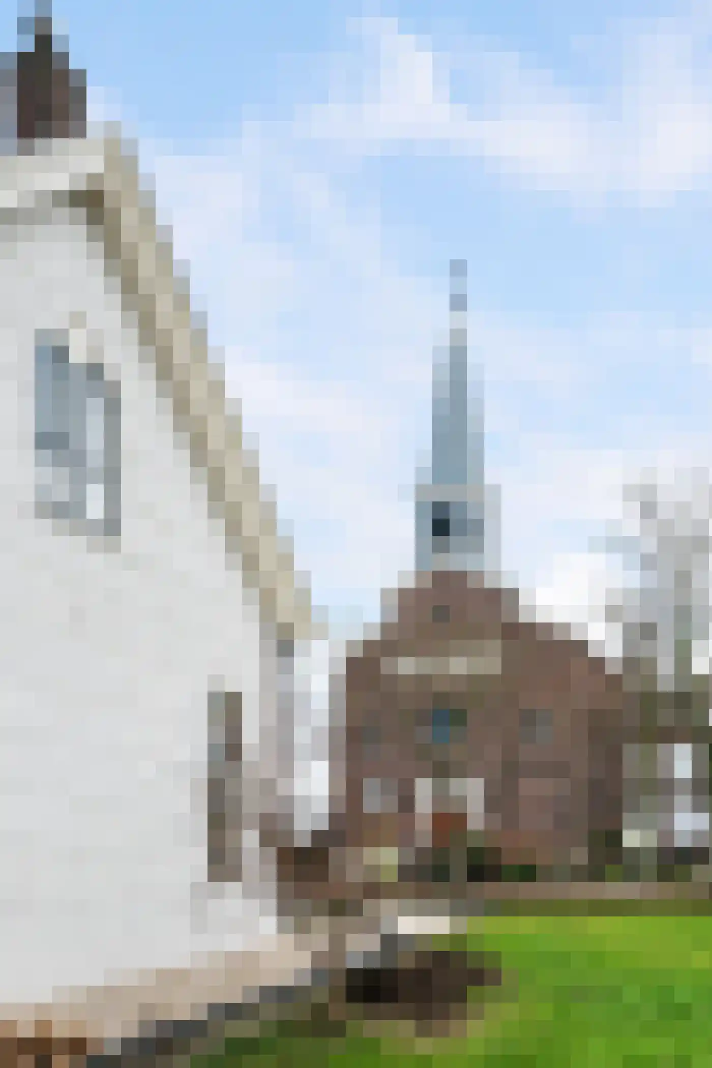 Hoefweg 60 Bleiswijk thumbnail 26