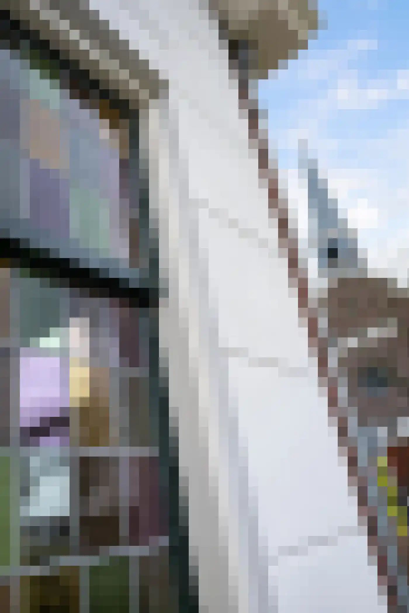 Hoefweg 60 Bleiswijk thumbnail 27