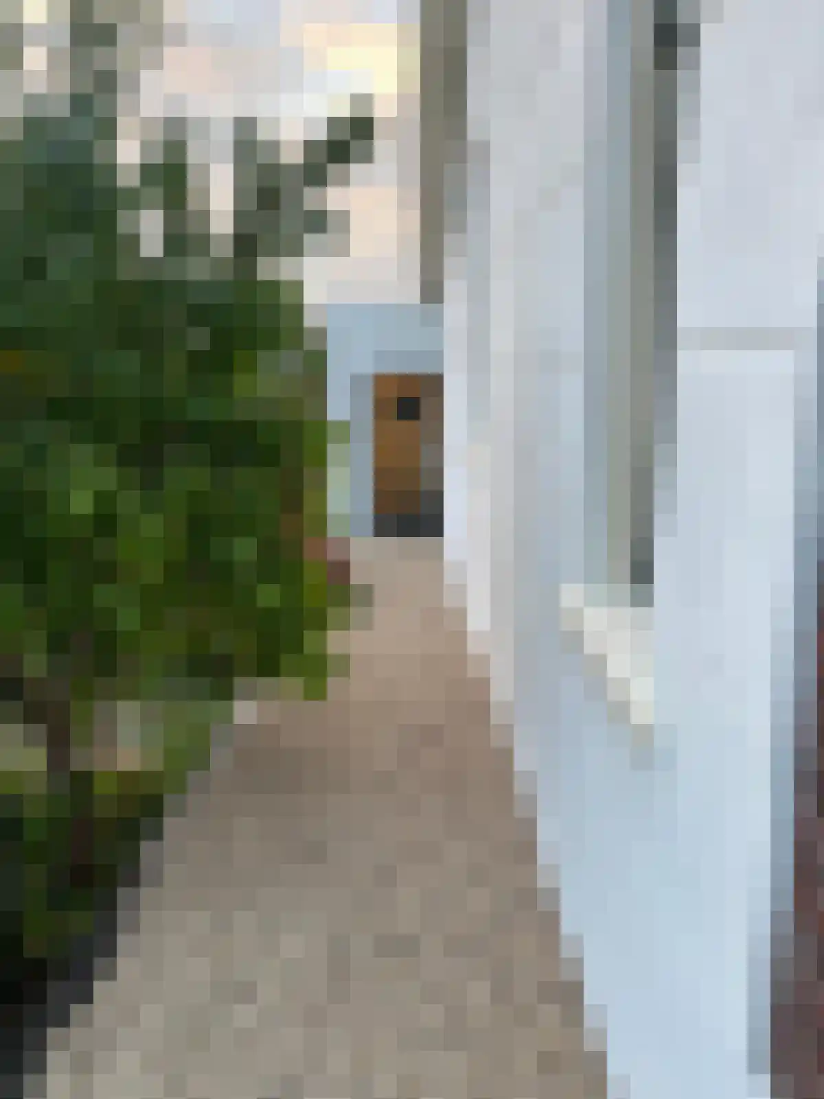 Hoefweg 60 Bleiswijk thumbnail 28