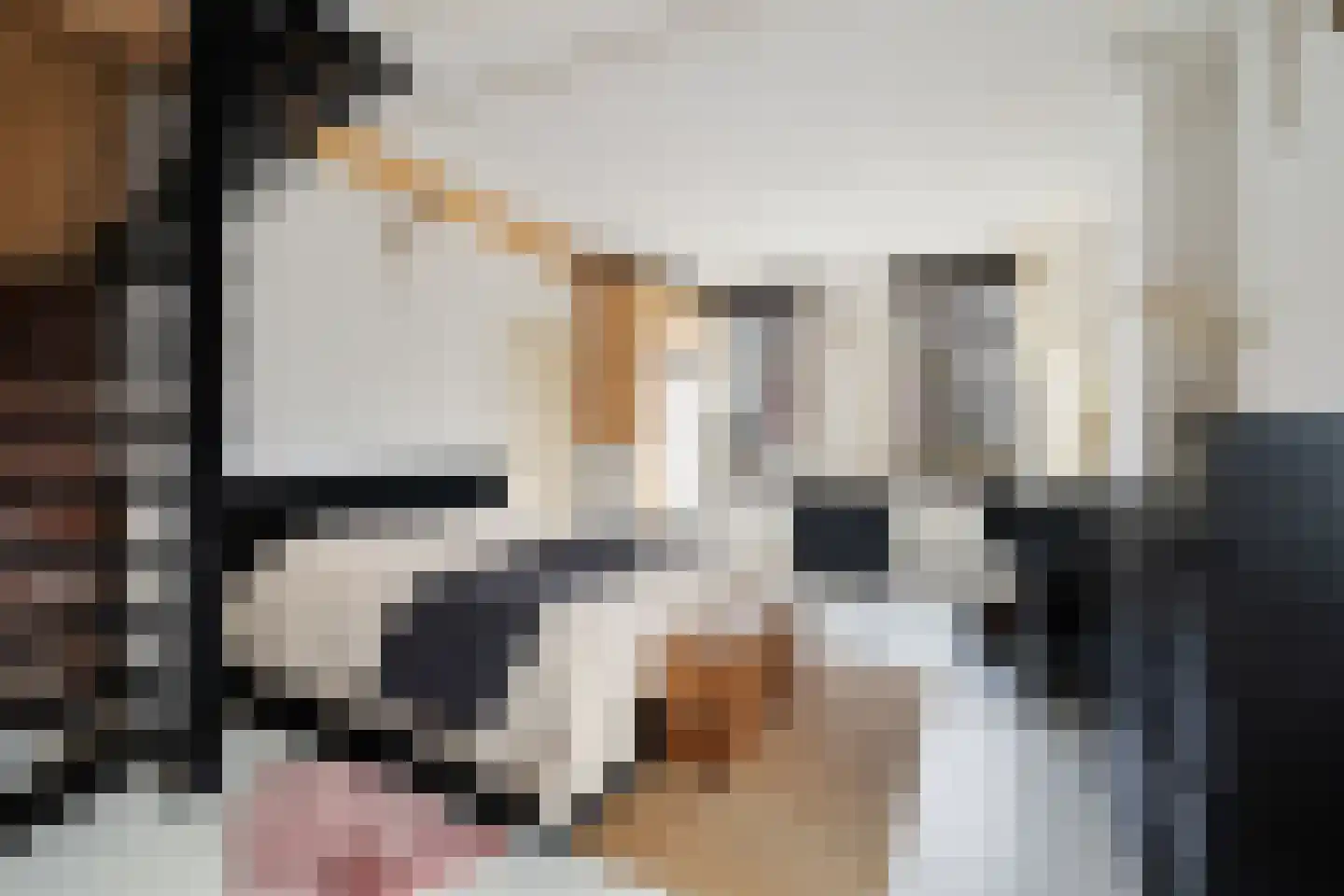 Hoefweg 60 Bleiswijk thumbnail 8