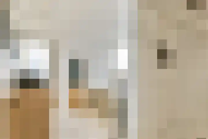 Hoefweg 69 Bleiswijk thumbnail 31