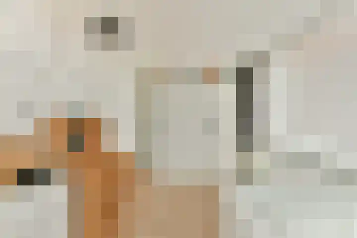 Hoefweg 69 Bleiswijk thumbnail 34