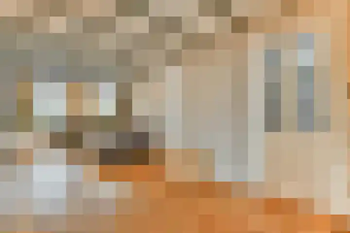 Hoefweg 69 Bleiswijk thumbnail 6