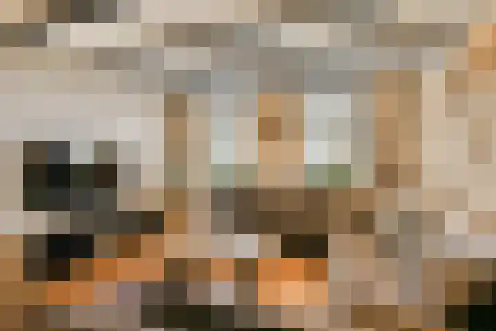 Hoefweg 69 Bleiswijk thumbnail 7