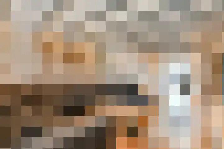 Hoefweg 69 Bleiswijk thumbnail 8