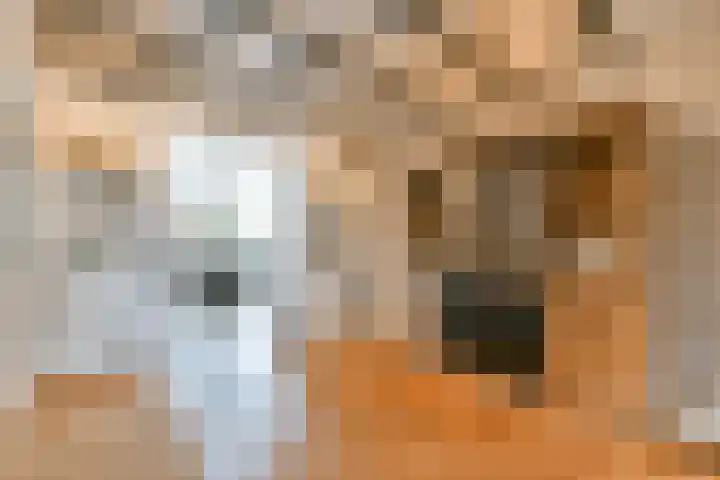Hoefweg 69 Bleiswijk thumbnail 9